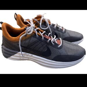 Mens Nike Lunar Roam SE Desert Bronze SZ 10 Metallic Pewter Iron Grey FZ8116-200